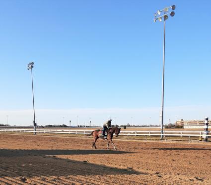 Pango training at Penn National on March 13, 2021 (Mark Salvaggio)