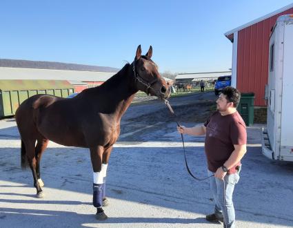 Pango on his way to Gulfstream Park from Penn National on November 6, 2020 (Mark Salvaggio)