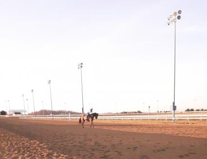Pango training at Penn National on Tuesday, March 23, 2021 (Mark Salvaggio)