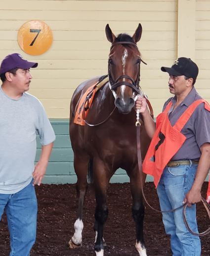 Preacher makes his racing debut in race 2 at Santa Anita on June 2, 2019 (Carter Biddle)
