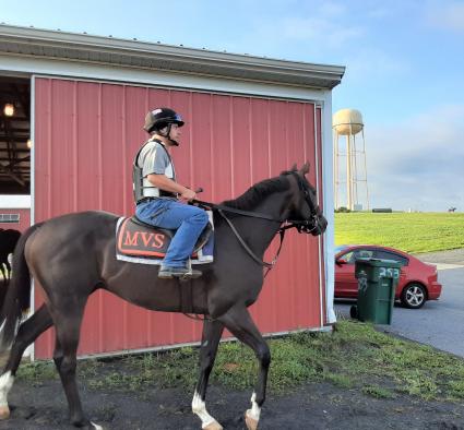 Rapstorerocks training at Penn National on August 8, 2020 (Mark Salvaggio)