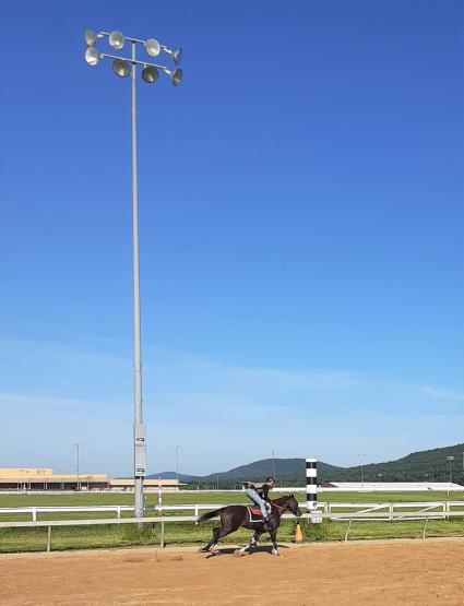Rapstorerocks trains at Penn National on June 9, 2020 (Mark Salvaggio)