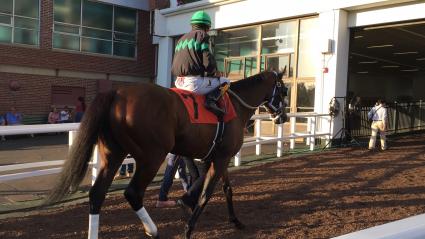 Solar in race 13 at Monmouth Park on September 1, 2019