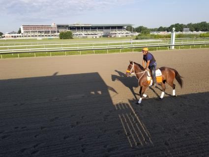 Solar training at Monmouth Park on July 25, 2019 (Jack Czajkowski)