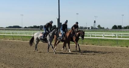 Tessa P training at Penn National on September 11, 2021 (Mark Salvaggio)