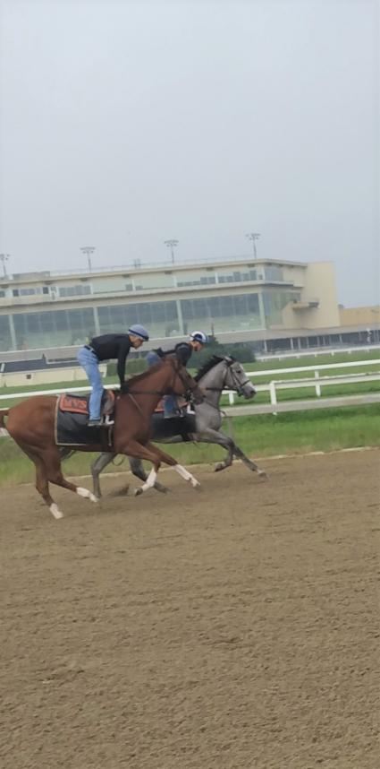 Tessa P (outside) training at Penn National on September 15, 2021 (Mark Salvaggio)