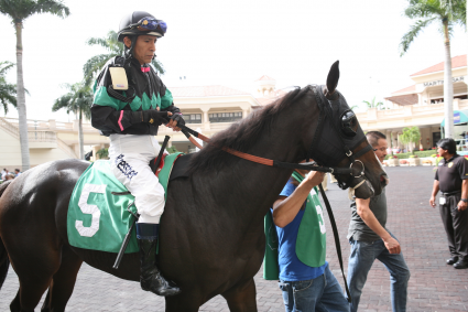 Title Fight in the Paddock at Gulfstream Park