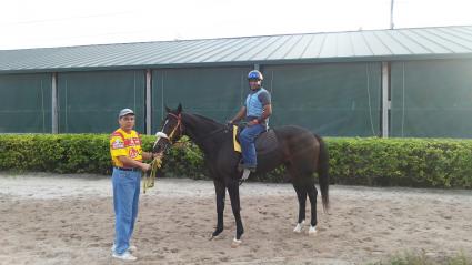 Title Fight At Gulfstream Park