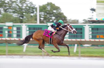 Tracy Ann's Legacy, with Jose Ferrer up, wins race 13 at Monmouth Park on August 29, 2020