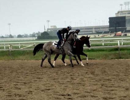 U Kant Whip It (inside)  training at Penn National on September 15, 2020 (Mark Salvaggio)