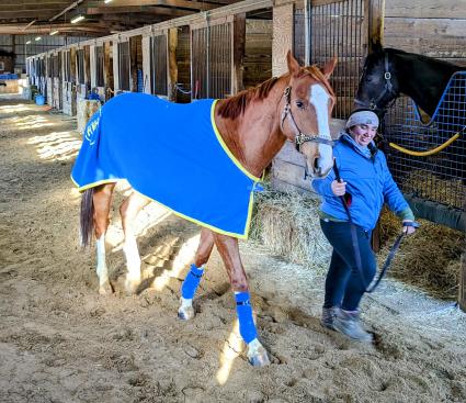 U Kant Whip It walking in the shedrow at Overbrook Farm on March 12, 2023 (Rory Huston)