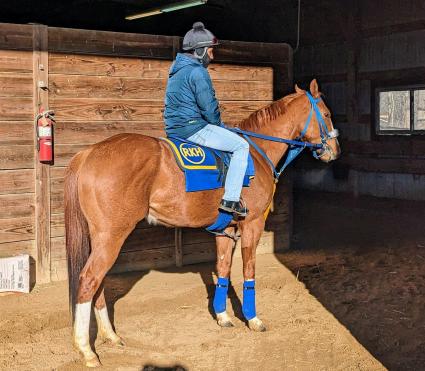U Kant Whip It returning to the barn after traiing at Overbrook Farm on March 12, 2023 (Rory Huston)