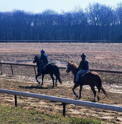 U Kant Whip It training at Overbrook Farm on March 5, 2023 (Rory Huston)