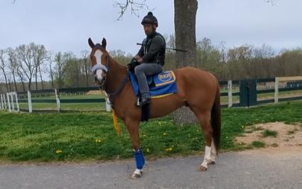 U Kant Whip It at Overbrook Farm - April 15, 2023 (Scott Schaub)