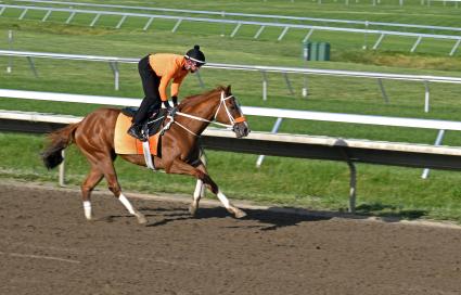 U Kant Whip It work at Monmouth Park on June 5, 2022 (Scott Schaub)