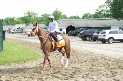 Kitten's Joy filly Vibrant Spirit training at Monmouth Park