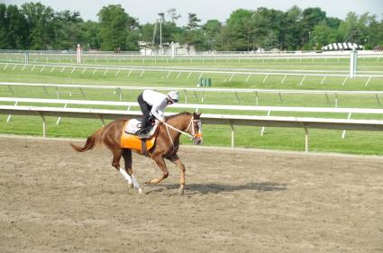 Kitten's Joy filly Vibrant Spirit training at Monmouth Park