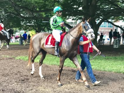 Kitten's Joy filly Vibrant Spirit in 2018 Boiling Springs Stakes at Monmouth Park (Robert Bulgar)