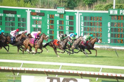 Kitten's Joy filly Vibrant Spirit in 2018 Boiling Springs Stakes at Monmouth Park