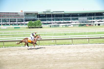 Kitten's Joy filly Vibrant Spirit training at Monmouth Park