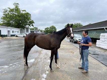 Violence-Val Marie filly at Monmouth Park on May 28, 2022 (Christopher Driscoll)