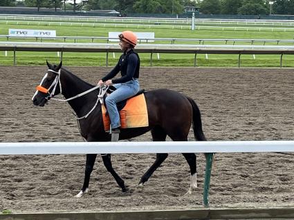 Violence-Val Marie filly at Monmouth Park on May 28, 2022 (Christopher Driscoll)