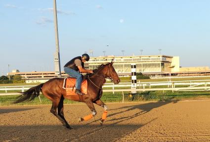 Warn at Penn National on July 15, 2022 (Mark Salvaggio)