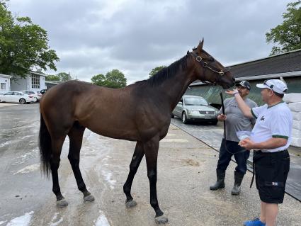Warn at Monmouth Park on May 28, 2022 (Christopher Driscoll)