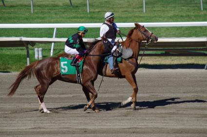 Kitten's Joy filly Vibrant Spirit, with Eric Cancel in the saddle, for race 10 at Monmouth Park on July 8, 2018