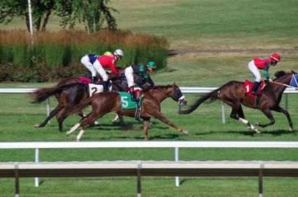 Kitten's Joy filly Vibrant Spirit, with Eric Cancel in the saddle, for race 10 at Monmouth Park on July 8, 2018