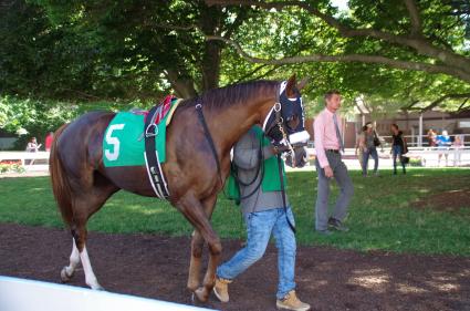 Kitten's Joy filly Vibrant Spirit in race 10 at Monmouth Park on July 8, 2018