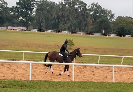 Without a Net training in Ocala in December 2022 (Jim Walter)