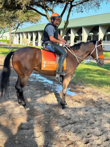 Without a Net at Palm Meadows on March 11, 2023 (Kelly Breen)