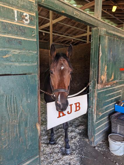 Without a Net in her stall at Monmouth Park on September 17, 2023