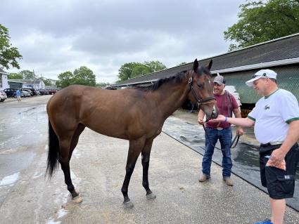 Without a Net at Monmouth Park on May 28, 2022 (Christopher Driscoll)