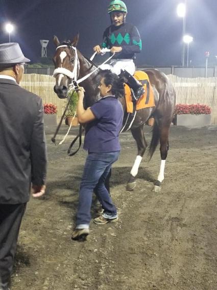 Life on the Edge wins Race 2 at The Meadowlands on October 8, 2021 (Pete Kelley)